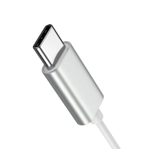 Wholesale Joyroom JR-EC06 in-ear headphones USB-C silver - JYR907 - {ean13} - Hurt