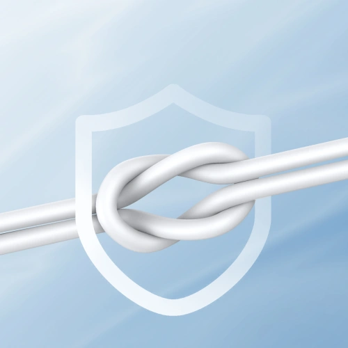 Słuchawki dokanałowe Joyroom JR-EC06 USB-C srebrne