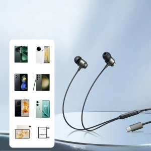 Wholesale Joyroom JR-EC06 in-ear headphones USB-C grey - JYR908 - {ean13} - Hurt