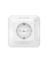 Wholesale Smart power socket WiFi BlitzWolf BW-SHP8 3680W, 16A - BLZ174 - {ean13} - Hurt