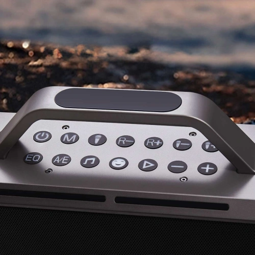 Głośnik bezprzewodowy do karaoke Joyroom Pies Series JR-MW03 Bluetooth 5.3 z 2 mikrofonami i pilotem czarny