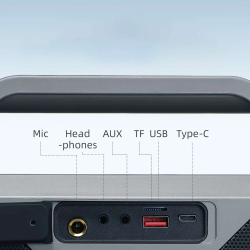 Głośnik bezprzewodowy do karaoke Joyroom Pies Series JR-MW03 Bluetooth 5.3 z 2 mikrofonami i pilotem czarny