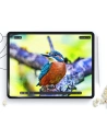 Wholesale Hofi Paper Pro+ Apple iPad Air 13 2024 Matte Clear [2 PACK] - HOFI497 - {ean13} - Hurt