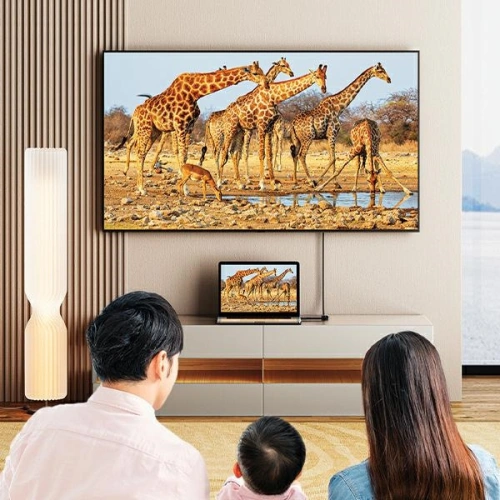 Adapter AWEI CL-217T USB-C / HDMI 4K@30HZ czarny/black