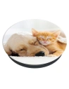 Hurtownia GSM - POPSOCKETS 2 Macska és Kutya telefon tartó - POP498 - {ean13} - Hurt