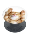 POPSOCKETS 2 Snoozy Cat phone holder