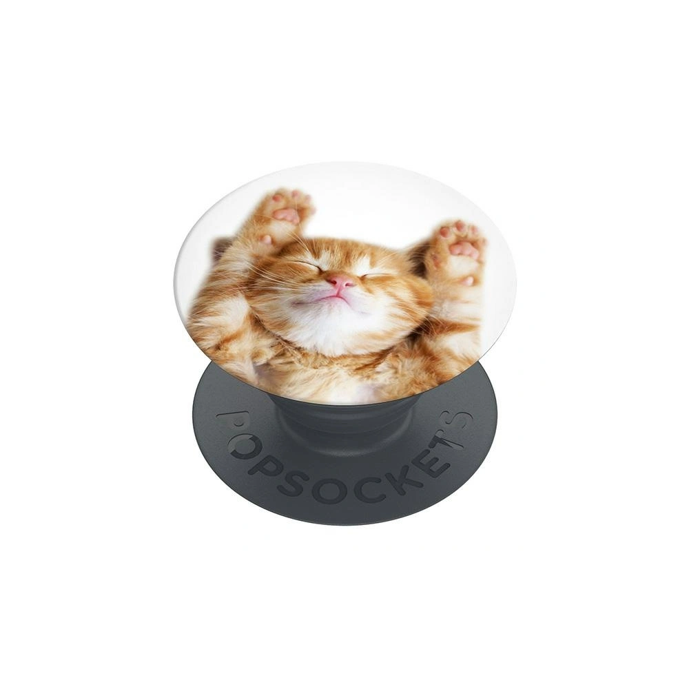 Wholesale POPSOCKETS 2 Snoozy Cat phone holder - POP510 - {ean13} - Hurt