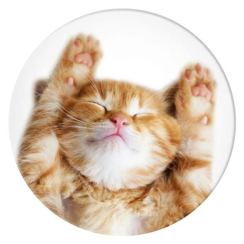 Uchwyt do telefonu POPSOCKETS 2 Snoozy Cat