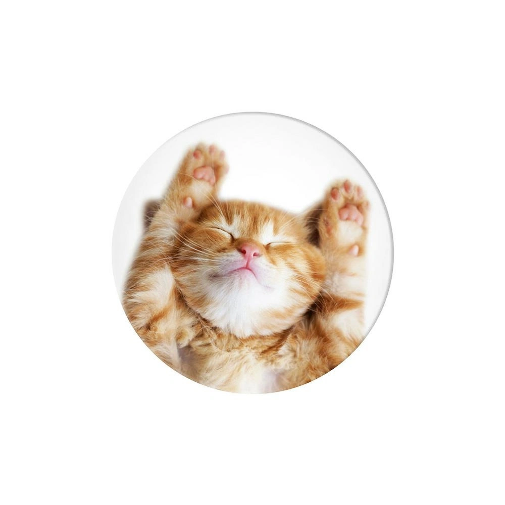 Hurtownia GSM - Uchwyt do telefonu POPSOCKETS 2 Snoozy Cat - POP510 - {ean13} - Hurt