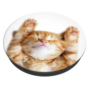 Hurtownia GSM - POPSOCKETS 2 Snoozy Cat telefon tartó - POP510 - {ean13} - Hurt