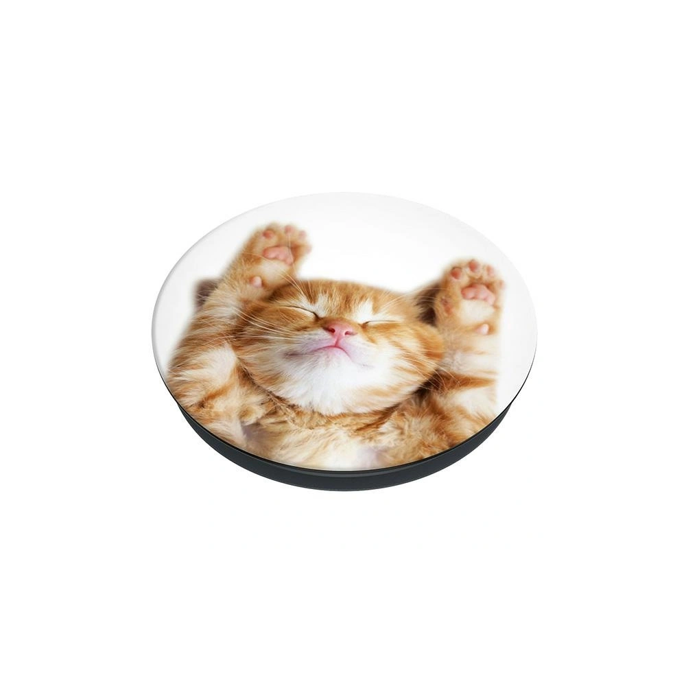 Wholesale POPSOCKETS 2 Snoozy Cat phone holder - POP510 - {ean13} - Hurt