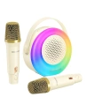 Karaoke szett gyerekeknek BlitzWolf BM-K10 (bézs)