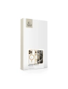 Tech-Protect MagFlex MagSafe Apple iPhone 16 Pro Glänzendes Gold - iPhone 16 Pro - Tech-Protect