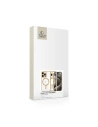 Hurtownia GSM - Etui Tech-Protect MagFlex MagSafe Apple iPhone 16 Pro Max Shiny Gold - THP3147 - {ean13} - Hurt