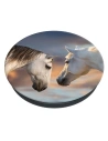 Hurtownia GSM - Popsockets 2 Cai la apus - basic - POP530 - {ean13} - Hurt