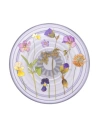 Hurtownia GSM - Popsockets PlantCore Fogantyú Lila Mezők - POP532 - {ean13} - Hurt