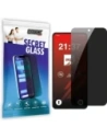 GrizzGlass SecretGlass Samsung Galaxy M55s