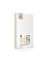 Wholesale [OUTLET] Case Tech-Protect MagFlex MagSafe Apple iPhone 16 Shiny Gold - OT-821 - {ean13} - Hurt