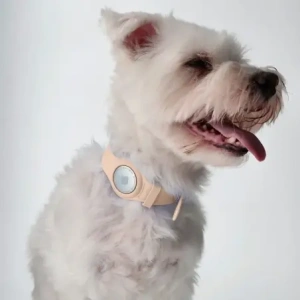 Wholesale Bizon Case Locator Pets Apple AirTag light pink - BIZ4 - {ean13} - Hurt