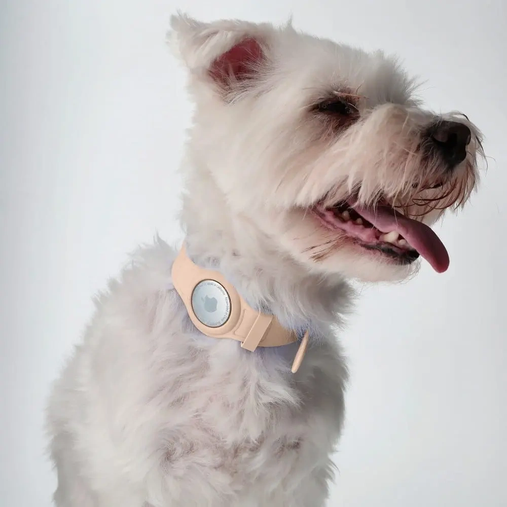 Hurtownia GSM - Etui Bizon Case Locator Pets do Apple AirTag jasnorůžové - BIZ4 - {ean13} - Hurt