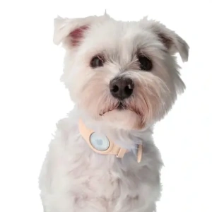 Wholesale Bizon Case Locator Pets Apple AirTag light pink - BIZ4 - {ean13} - Hurt