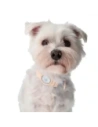 Wholesale Bizon Case Locator Pets Apple AirTag light pink - BIZ4 - {ean13} - Hurt