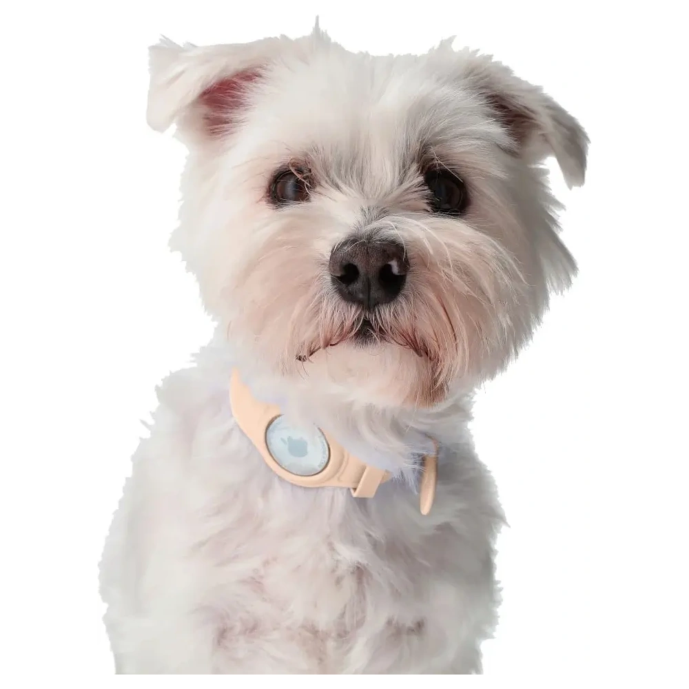 Hurtownia GSM - Etui Bizon Case Locator Pets do Apple AirTag jasnorůžové - BIZ4 - {ean13} - Hurt