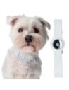 Wholesale Bizon Case Locator Pets Apple AirTag white - BIZ6 - {ean13} - Hurt
