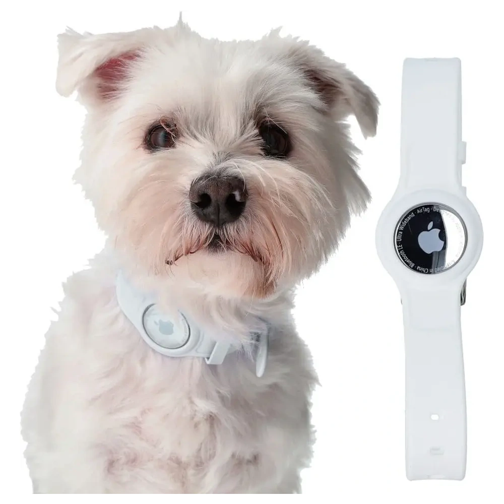 Wholesale Bizon Case Locator Pets Apple AirTag white - BIZ6 - {ean13} - Hurt