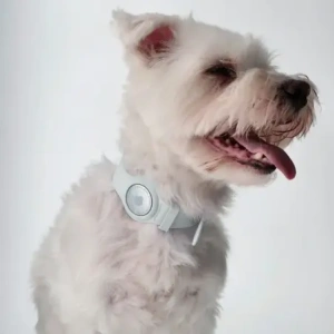 Wholesale Bizon Case Locator Pets Apple AirTag white - BIZ6 - {ean13} - Hurt