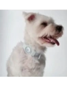 Wholesale Bizon Case Locator Pets Apple AirTag white - BIZ6 - {ean13} - Hurt