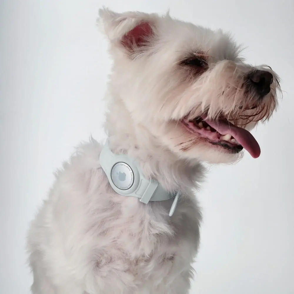 Wholesale Bizon Case Locator Pets Apple AirTag white - BIZ6 - {ean13} - Hurt