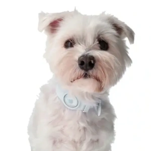 Wholesale Bizon Case Locator Pets Apple AirTag white - BIZ6 - {ean13} - Hurt