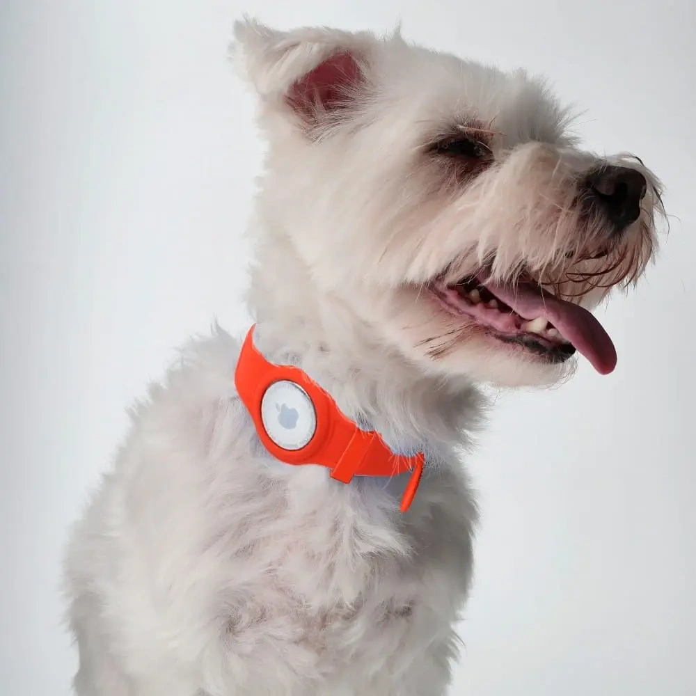 Wholesale Bizon Case Locator Pets Apple AirTag red - BIZ9 - {ean13} - Hurt