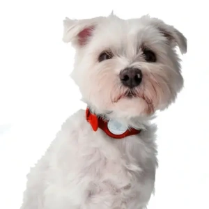 Hurtownia GSM - Etui Bizon Case Locator Pets do Apple AirTag czerwone - BIZ9 - {ean13} - Hurt