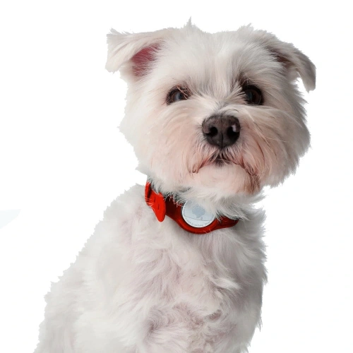 Etui Bizon Case Locator Pets do Apple AirTag czerwone