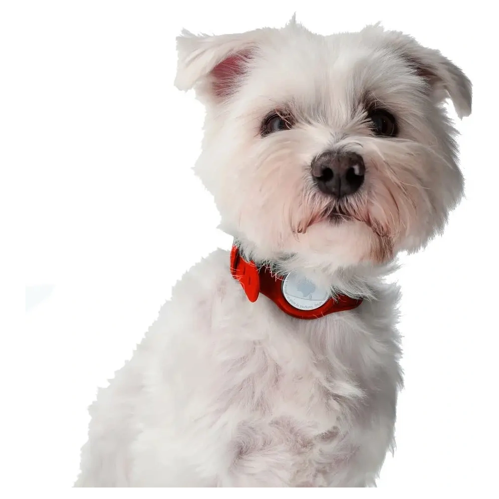 Wholesale Bizon Case Locator Pets Apple AirTag red - BIZ9 - {ean13} - Hurt