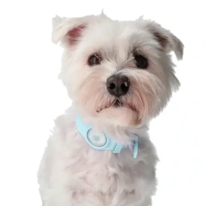 Wholesale Bizon Case Locator Pets Apple AirTag turquoise - BIZ14 - {ean13} - Hurt