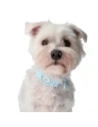 Hurtownia GSM - Etui Bizon Case Locator Pets do Apple AirTag tyrkysové - BIZ14 - {ean13} - Hurt
