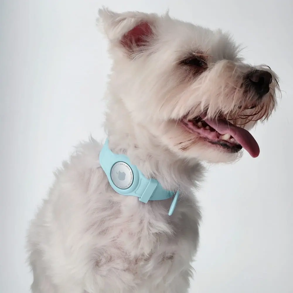 Hurtownia GSM - Etui Bizon Case Locator Pets do Apple AirTag tyrkysové - BIZ14 - {ean13} - Hurt