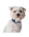 Hurtownia GSM - Etui Bizon Case Locator Pets do Apple AirTag granatowe - BIZ21 - {ean13} - Hurt
