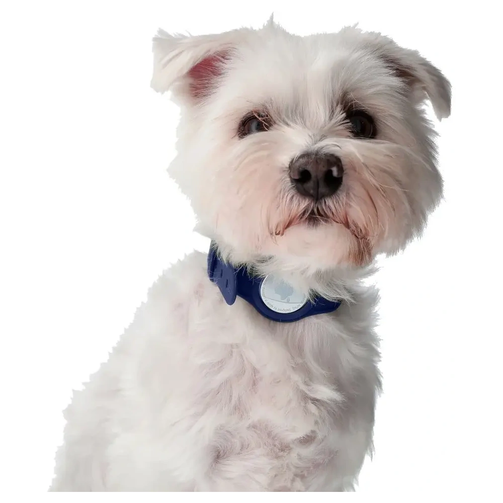 Hurtownia GSM - Etui Bizon Case Locator Pets do Apple AirTag modré - BIZ21 - {ean13} - Hurt