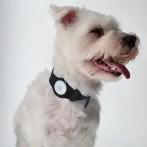 Wholesale Bizon Case Locator Pets Apple AirTag black - BIZ22 - {ean13} - Hurt