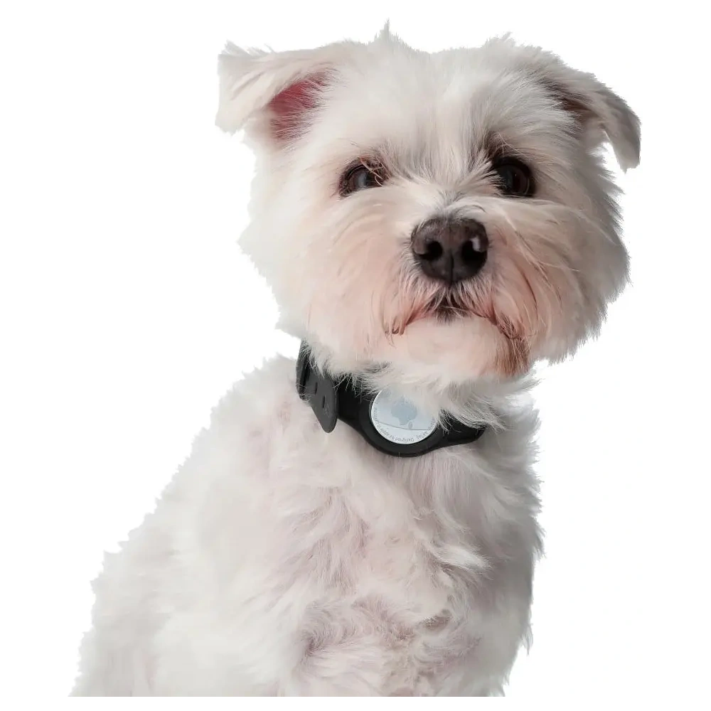 Hurtownia GSM - Etui Bizon Case Locator Pets do Apple AirTag czarne - BIZ22 - {ean13} - Hurt