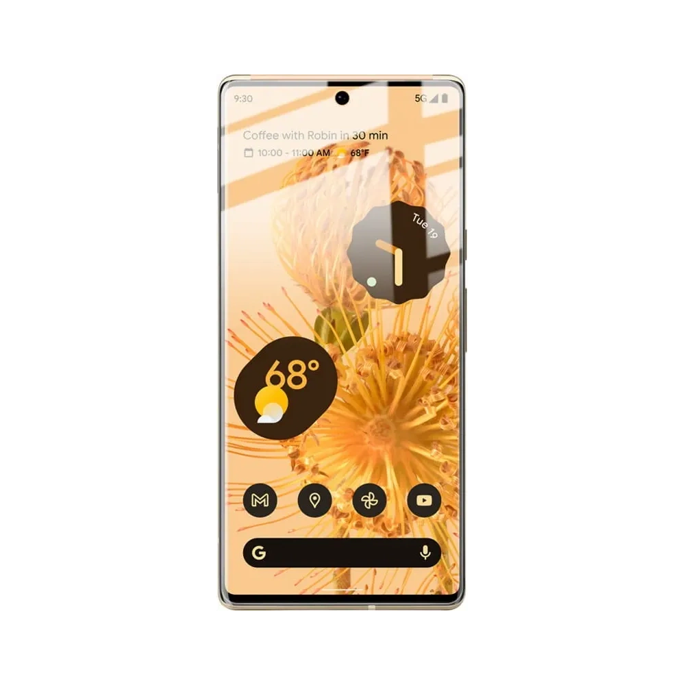 Wholesale Bizon Glass Hydrogel Google Pixel 6 Pro [2 PACK] - BIZ334 - {ean13} - Hurt