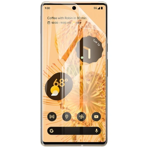 Folia hydrożelowa na ekran Bizon Glass Hydrogel Google Pixel 6 Pro [2 PACK]