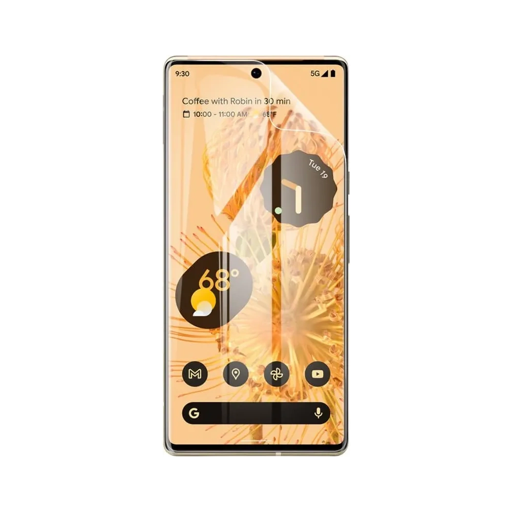 Wholesale Bizon Glass Hydrogel Google Pixel 6 Pro [2 PACK] - BIZ334 - {ean13} - Hurt