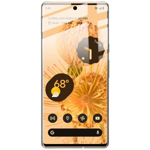 Folia hydrożelowa na ekran Bizon Glass Hydrogel Google Pixel 6 Pro [2 PACK]