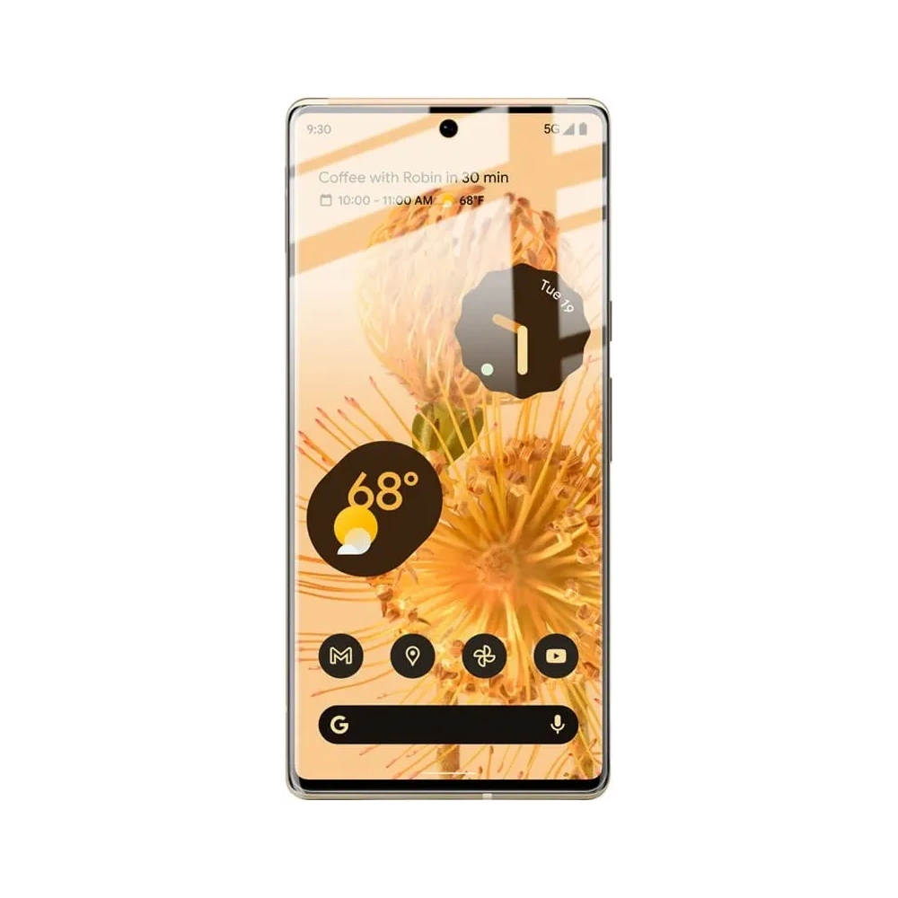Wholesale Bizon Glass Hydrogel Google Pixel 6 Pro [2 PACK] - BIZ334 - {ean13} - Hurt