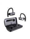 Wholesale AWEI Wireless In-Ear Earphones Bluetooth 5.0 T22 TWS with Powerbank 1500mAh black - AWEI015BLK - {ean13} - Hurt
